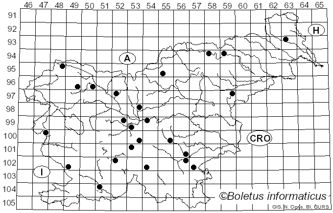<i>Hygrophorus erubescens</i> var. <i>persicolor</i> (Rick) Bon (1977)
