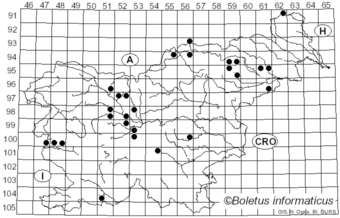 <i>Lanzia echinophila</i> (Bull.) Korf (1982)