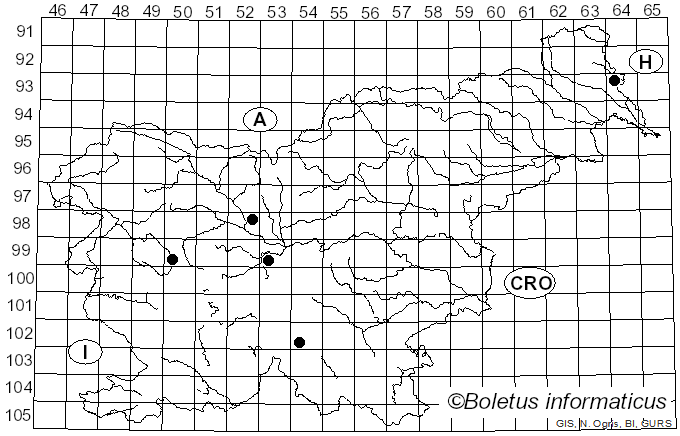 <i>Helvella monachella</i> (Scop.) Fr. (1822)