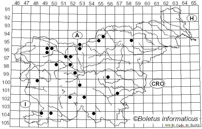 <i>Exidiopsis</i> (Bref.) Möller (1895)