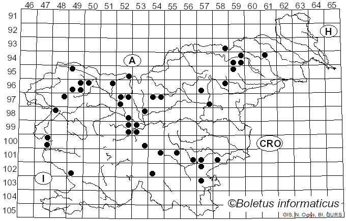 <i>Tricholoma inamoenum</i> (Fr.) Gillet (1874)