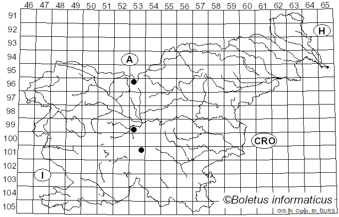 <i>Leucopaxillus phaeopus</i> (J. Favre & Poluzzi) Bon (1987)