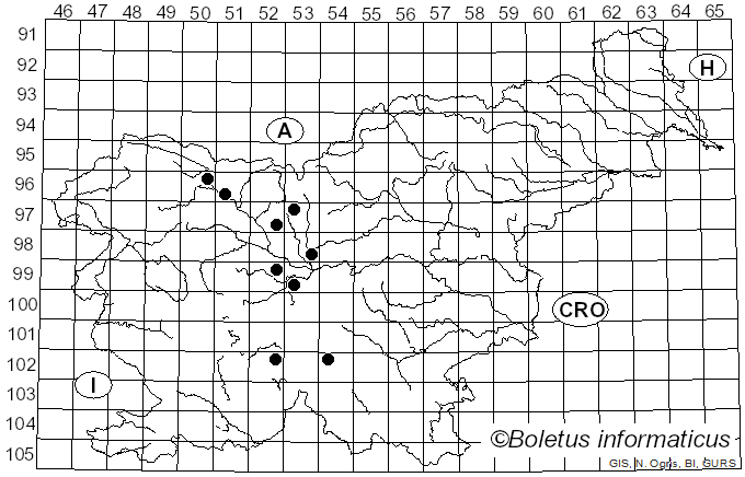 <i>Sphaerotheca castagnei</i> Lév. (1851)