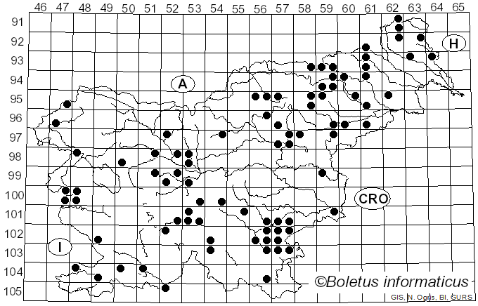 <i>Tricholoma ustaloides</i> Romagn. (1954)