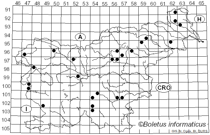 <i>Macrolepiota olivascens</i> Singer & M.M. Moser (1961)