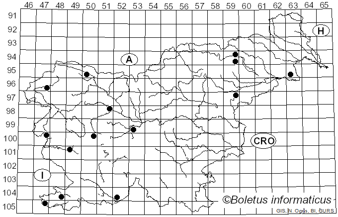<i>Cyclocybe</i> Velen. (1939)