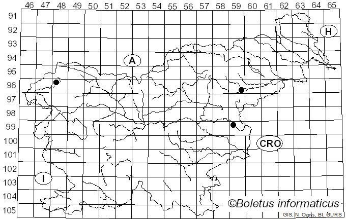 <i>Hygrocybe acutoconica</i> var. <i>konradii</i> (R. Haller Aar.) Boertm. (2010)