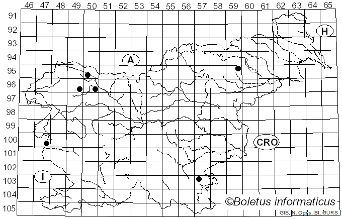 <i>Orbilia xanthostigma</i> (Fr.) Fr. (1849)