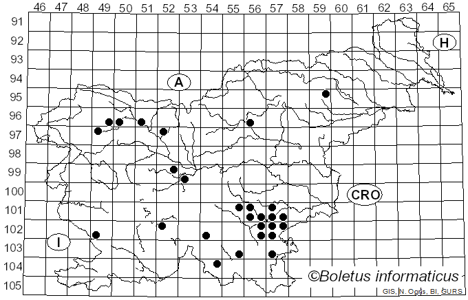 <i>Ramaria flavobrunnescens</i> (G.F. Atk.) Corner (1950)