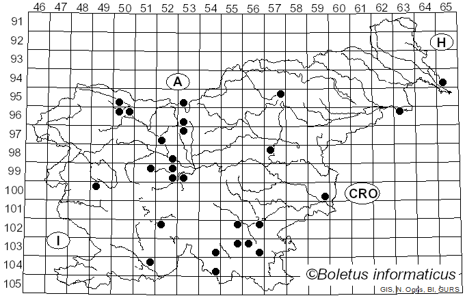 <i>Cytospora</i> Ehrenb. (1818)