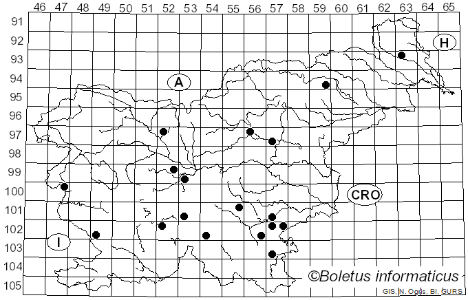 <i>Tricholoma sejunctum</i> var. <i>coniferarum</i> Bon (1976)