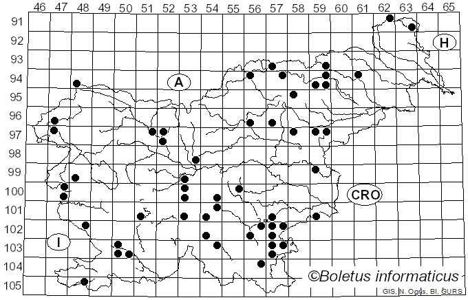 <i>Leccinum aurantiacum</i> (Bull.) Gray (1821)