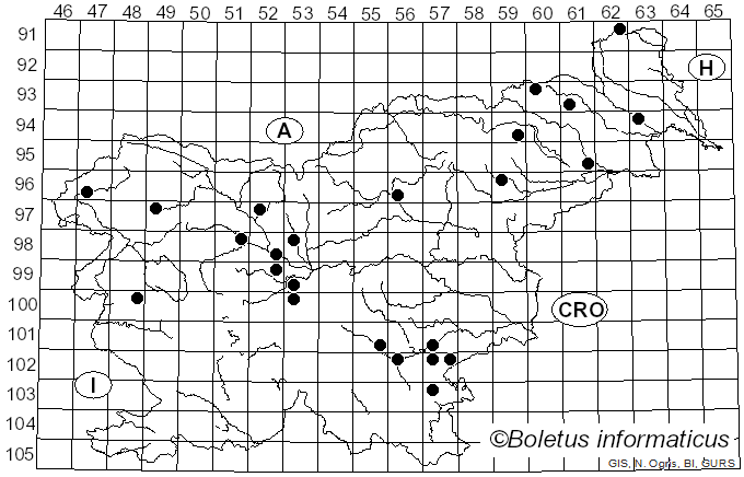 <i>Gymnopus ocior</i> (Pers.) Antonín & Noordel. (1997)