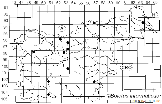 <i>Meria laricis</i> Vuill. (1896)