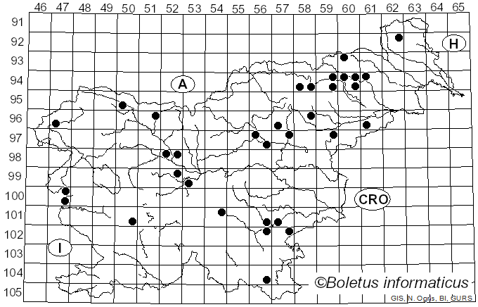 <i>Hemimycena lactea</i> (Pers.) Singer (1938)