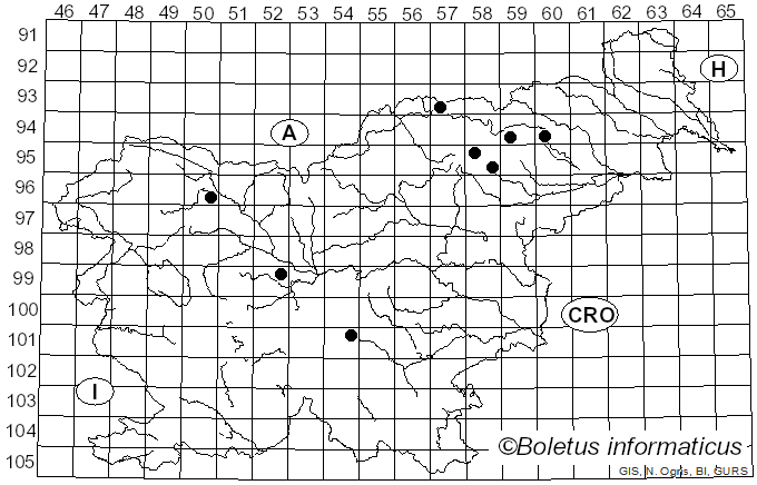 <i>Xerocomus coniferarum</i> Singer (1945)