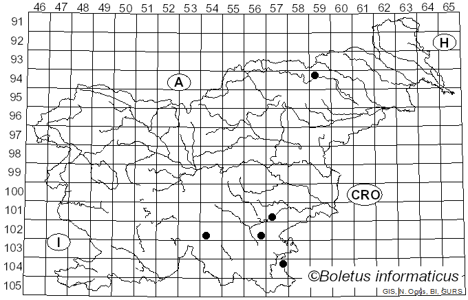 <i>Lycoperdon decipiens</i> Durieu & Mont. (1848)