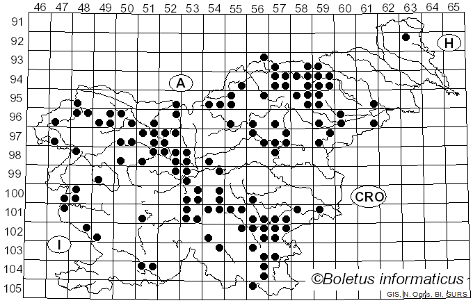 <i>Coltricia perennis</i> (L.) Murrill (1903)