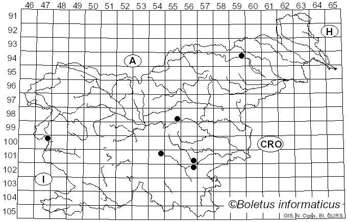 <i>Cortinarius opimus</i> Fr.