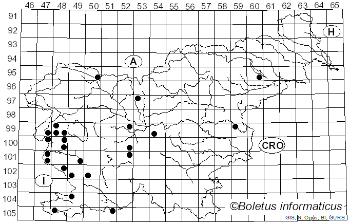 <i>Cenangium</i> Fr. (1818)