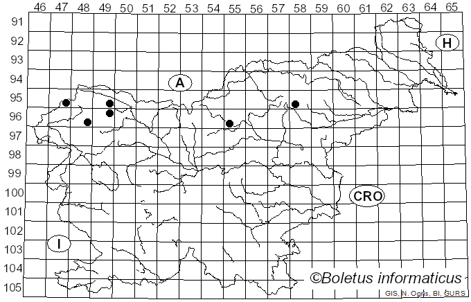 <i>Cladonia arbuscula</i> subsp. <i>arbuscula</i> (Wallr.) Flot. (1845)