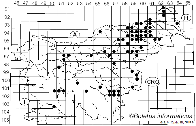 <i>Ramaria fagetorum</i> Schild (1978)
