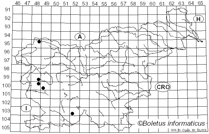 <i>Tephromela atra</i> var. <i>torulosa</i> (Flot.) Hafellner (1992)