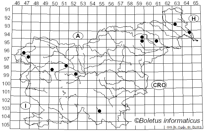 <i>Serpula lacrymans</i> (Wulfen) J. Schröt. (1885)