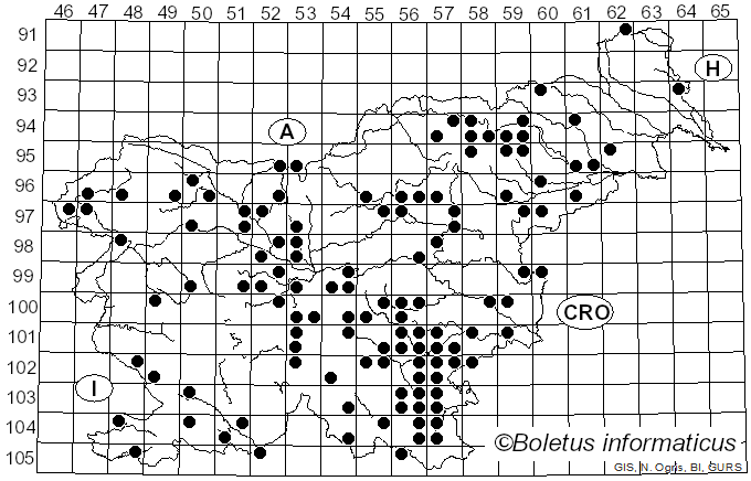<i>Pleurotus pulmonarius</i> (Fr.) Quél. (1872)