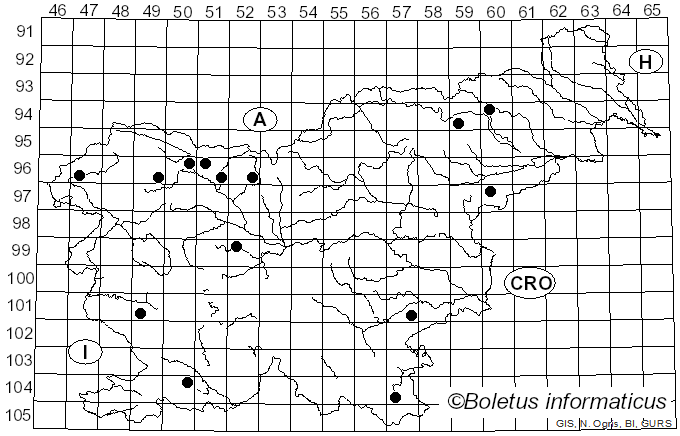 <i>Dasyscyphella</i> Tranzschel (1898)