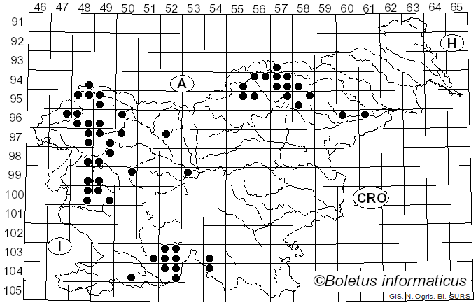 <i>Buellia</i> De Not. (1846)