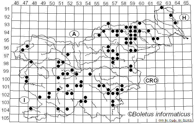 <i>Thaxterogaster purpurascens</i> (Fr.) Niskanen & Liimat. (2022)