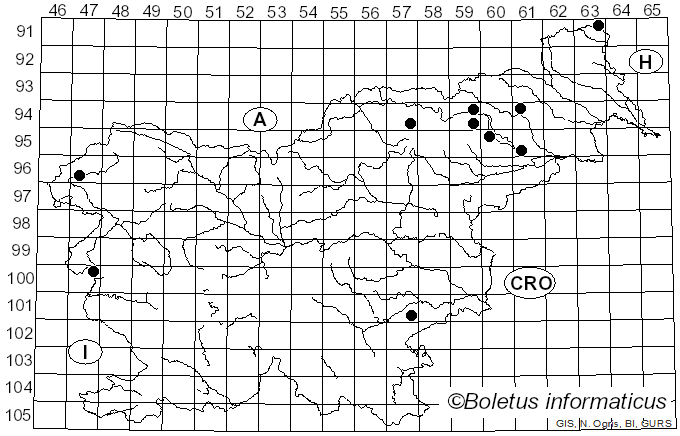 <i>Britzelmayria</i> D. Wächt. & A. Melzer (2020)