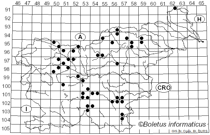 <i>Butyriboletus subappendiculatus</i> (Dermek, Lazebn. & J. Veselský) D. Arora & J.L. Frank (2014)