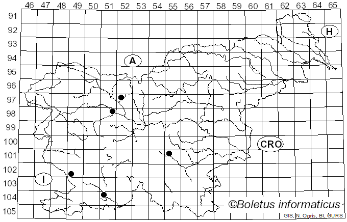 <i>Cortinarius veregregius</i> Rob. Henry (1938)
