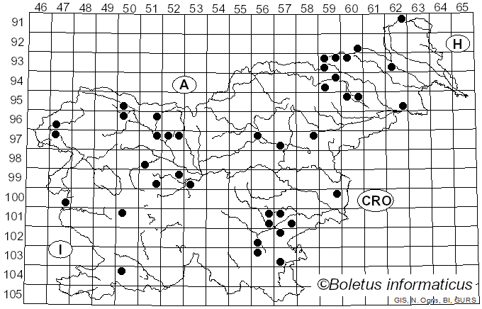 <i>Coprinellus domesticus</i> (Bolton) Vilgalys, Hopple & Jacq. Johnson (2001)