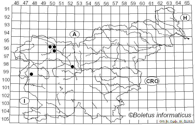 <i>Fomitopsis kuzyana</i> (Pilát ex Pilát) Spirin & Vlasák (2024)