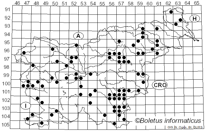 <i>Abortiporus biennis</i> (Bull.) Singer (1944)