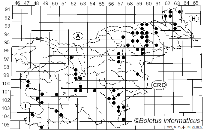 <i>Agaricus xanthodermus</i> Genev. (1876)
