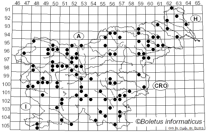 <i>Ceratiomyxa fruticulosa</i> (O.F. Müll.) T. Macbr. (1899)