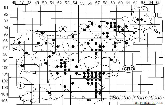 <i>Russula alutacea</i> (Fr.) Fr. (1838)