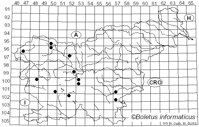 <i>Hypomyces aurantius</i> (Pers.) Tul. & C. Tul. (1860)
