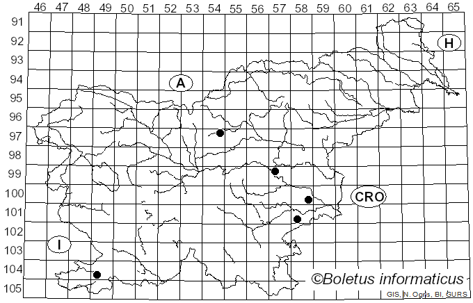 <i>Stigmella perpygmaeella</i> Doubleday (1859)