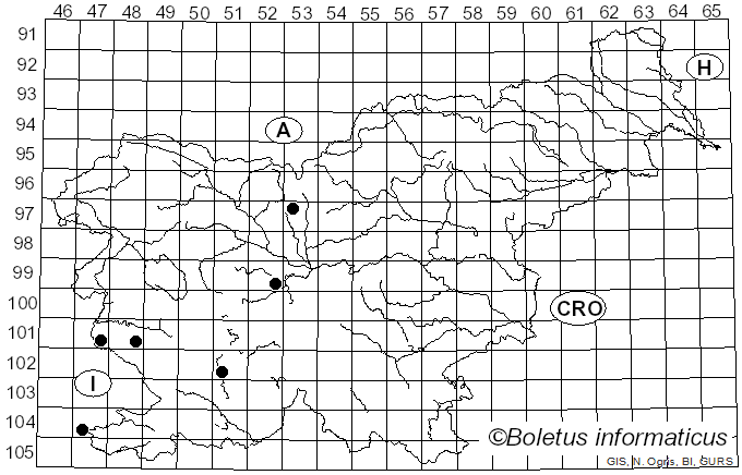 <i>Seiridium</i> Nees (1816)