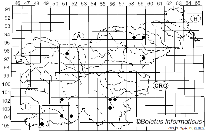 <i>Caloscypha</i> Boud. (1885)