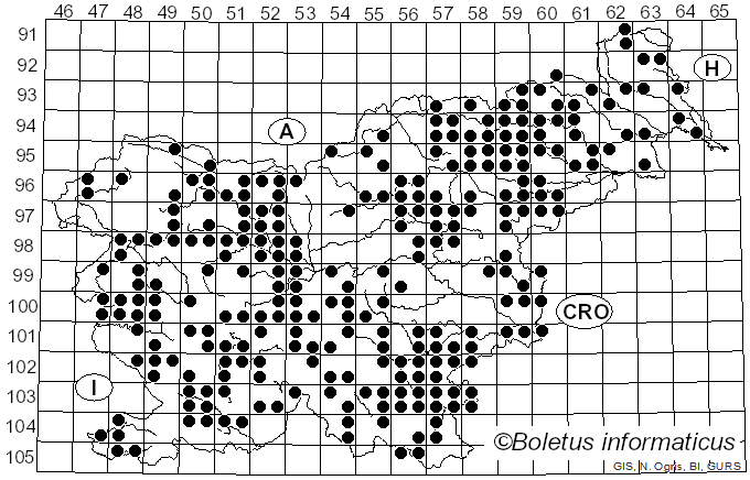 <i>Ganoderma</i> P. Karst. (1881)