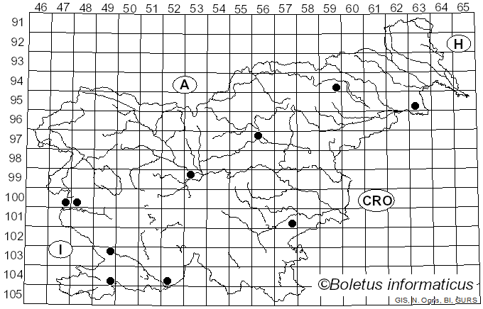 <i>Phylloscypha phyllogena</i> (Cooke) Van Vooren (2020)