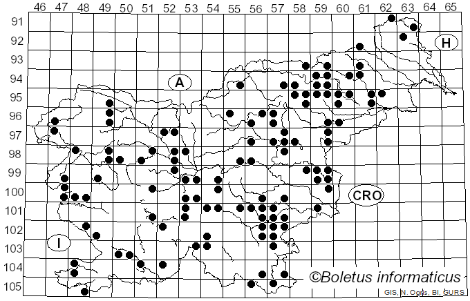 <i>Phlegmacium glaucopus</i> (Schaeff.) Wünsche (1877)