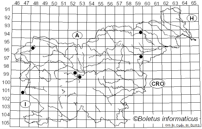<i>Tulostoma fimbriatum</i> Fr. (1829)