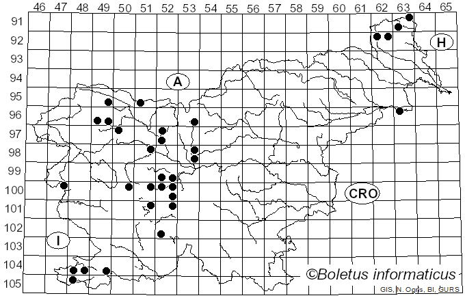 <i>Melanostoma mellinum</i> Linnaeus (1758)